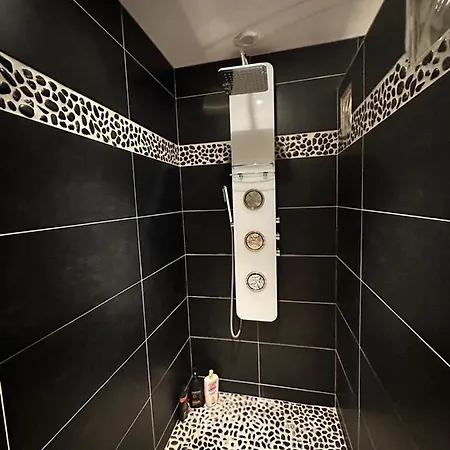 Appart En Duplex Climatise Coeur De
