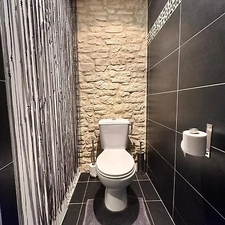Appart En Duplex Climatise Coeur De * Perigueux