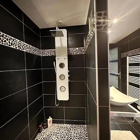 Appart En Duplex Climatise Coeur De * Perigueux